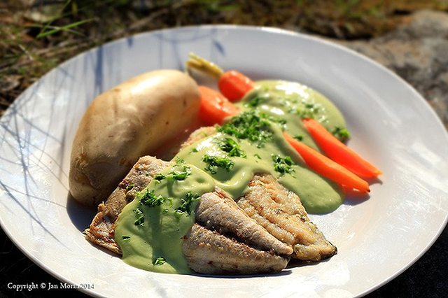 Smörstekta Sej- och Makrillfiléer, med Avocado- och Wasabisås