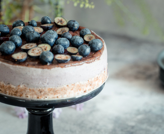 Raw food – somrig blåbärscheesecake