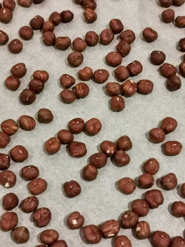 Rostade hasselnötter