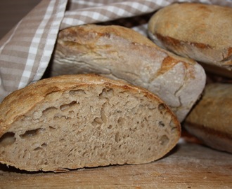 Dinkelbröd med levain