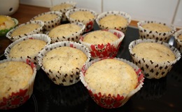 muffins