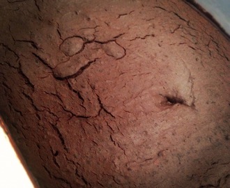 Black bean brownie