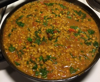 Daal – indisk linsgryta