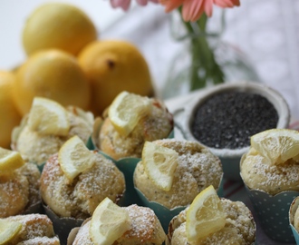 Lemon Poppyseed Muffins – Citron & Valmomuffin