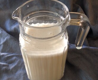 Mellanmål: chiapudding med hirsmjölk