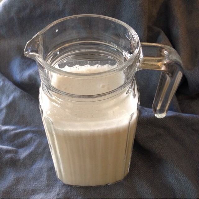 Mellanmål: chiapudding med hirsmjölk