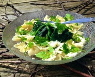 Lunchpasta med spenat & mozzarella