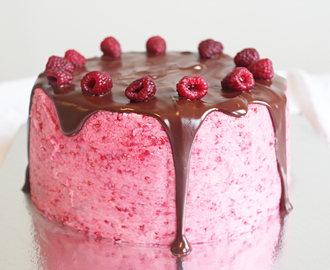 Chocolate brownie and raspberry cake