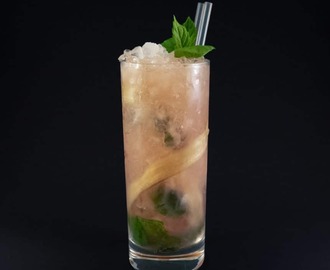 Rabarbermojito