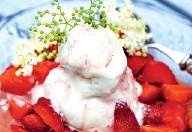 Flädermarienerade jordgubbar med vaniljglass