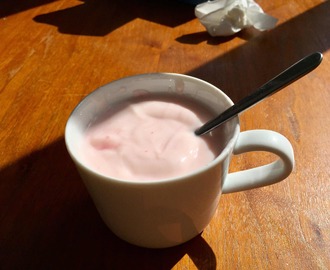 (Spanien) Mini yoghurt