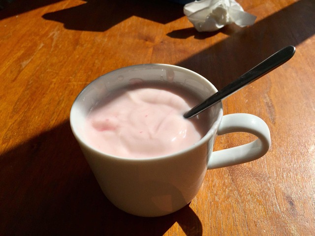 (Spanien) Mini yoghurt