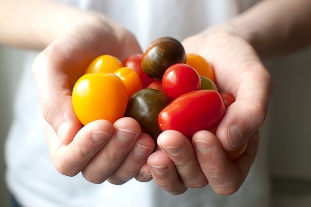 Äntligen är de här – tomaterna!