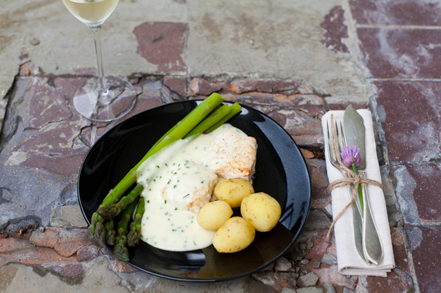 Smörstekt kattfisk med nobissås