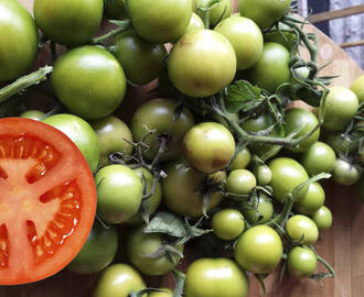 Smartaste planteringstipset! En enda tomatskiva = 21 tomatplantor!