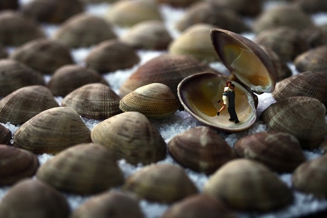 Kärlek till musslor