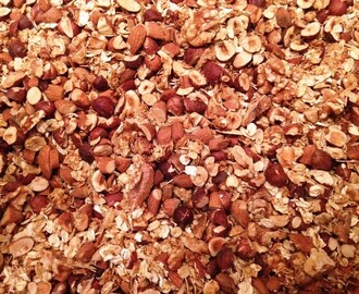 Granola även kallad nöt-fest!