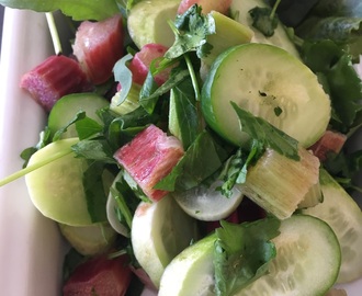 Var dags gröna mat - Sallad med råa rabarber, gurka och mynta, 4 port
