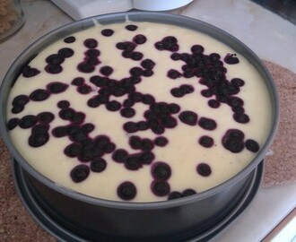 New York BlueBerry Cheescake!