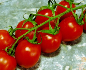 Ugnsbakade tomater