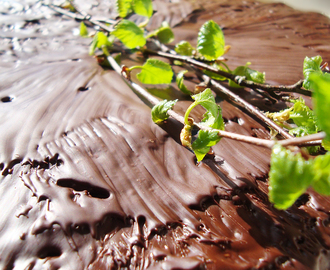 Chokladbiskvitårta