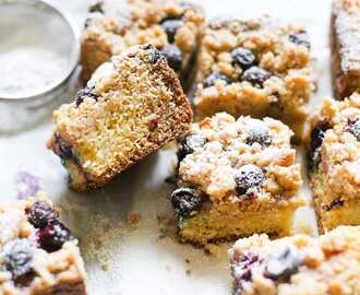 Sourdough Blueberry Crumb Cake