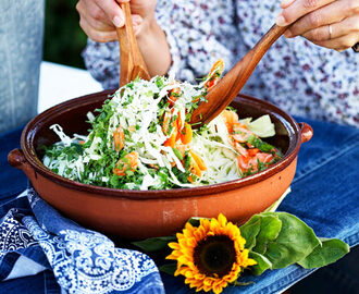 Coleslaw med citrondressing