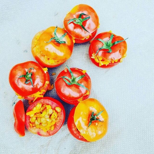 Ugnsbakade tomater med vegetarisk fyllning.