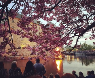 Vår valborgsmässoafton 2019