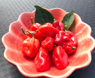 Habanero chilisås med tomat