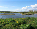 Vinsten med att vistas i naturen och påta i jorden