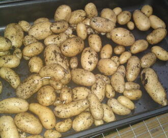 Vår alldeles egna första potatisskörd =)