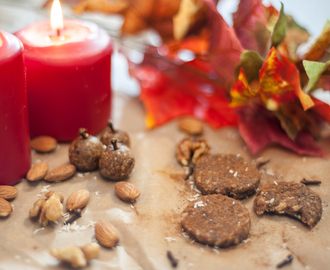 Nyttigare julgodis – Raw pepparkakor