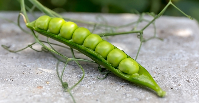 Grön Ärtpesto