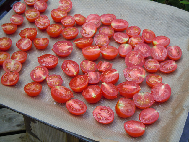 Hemmagjorda "soltorkade" tomater