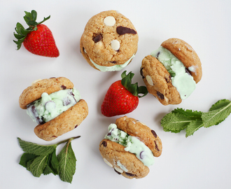 Ice cream cookie sandwiches