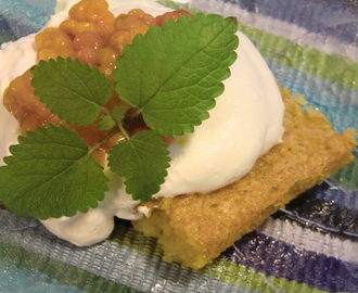 Saftig, mjuk kokoskaka med hjortron och grädde - gluten och mjölkfri