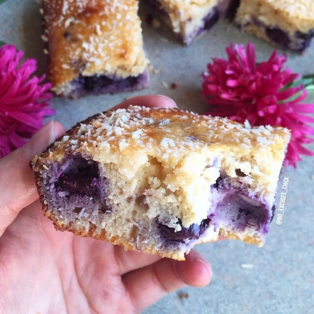 Blueberry Coconut Protein Bars