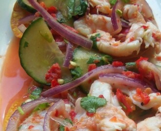 Aguachile "snabb" ceviche med sting