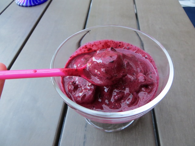 Frozen blueberry yoghurt