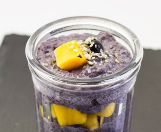 Blueberry Chia Pudding