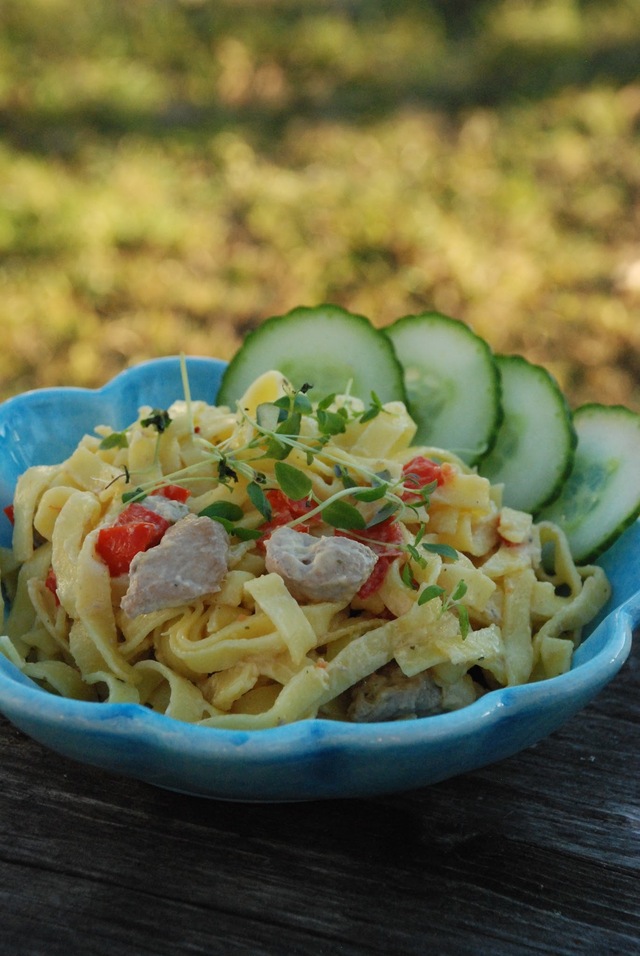 Pasta med fläskfilé