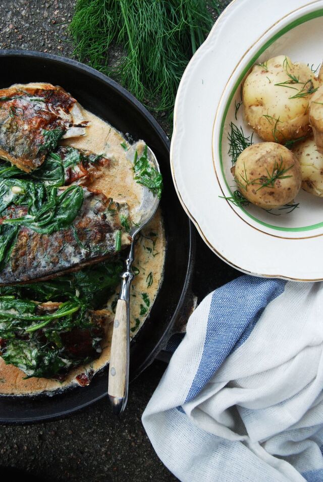 Gräddbräserad makrill med spenat och dill