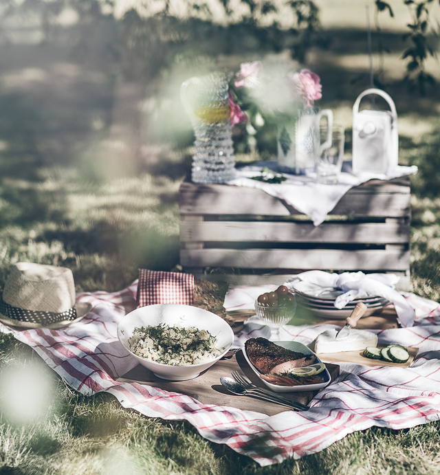 Picknick i trädgården med ljummen blomkålssallad och lax