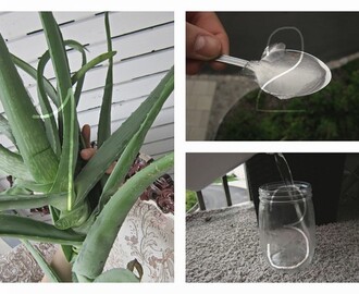 DIY aloe vera water