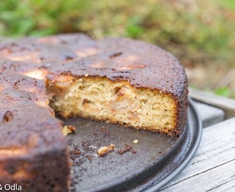 Glutenfri äppelkaka med vaniljgrädde