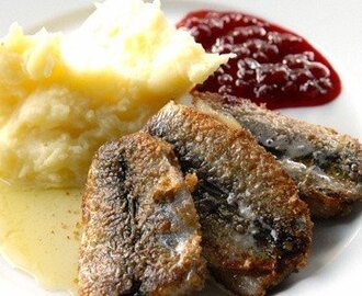 Stekt strömmingsflundra med potatismos