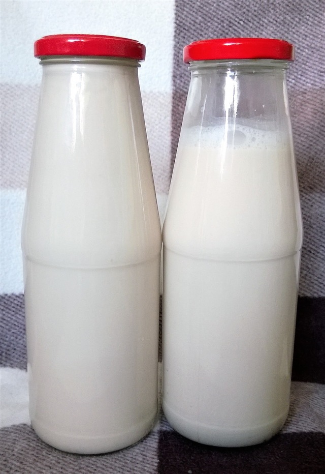 Experiment i köket: Vegetabilisk "mjölk"
