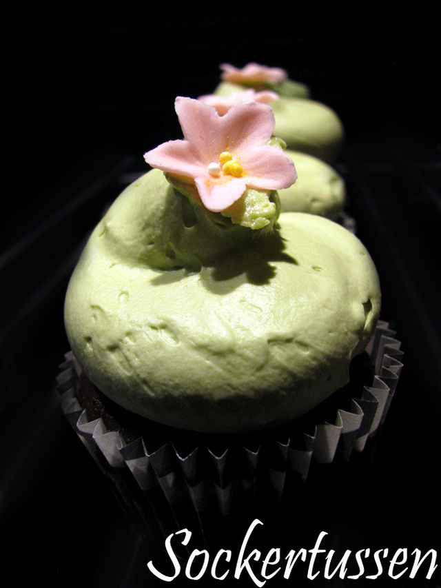 Choklad cupcakes med Matcha!