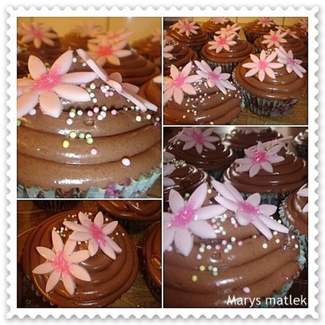 Choklad cupcakes